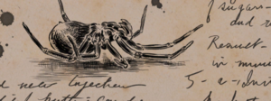 ACS Spider Clue.png