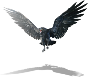 ACV DB Giant Raven.png