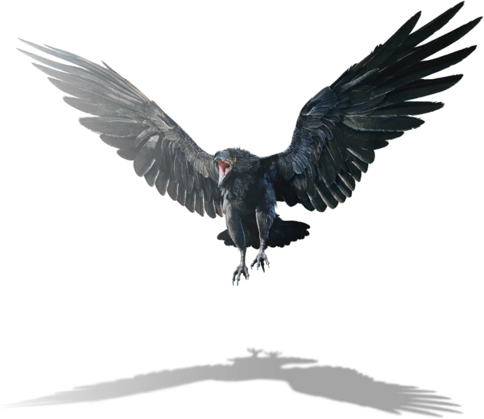 File:ACV DB Giant Raven.png