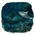 Thumbnail for version as of 00:12, 23 January 2026