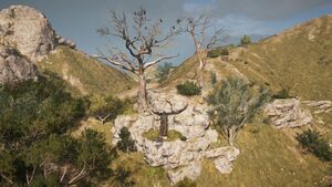 Boeotia-SpecterontheRock.jpg