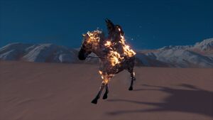 LightsAmongTheDunes27-UndeadE.jpg