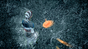 Trail of Truth 3.png