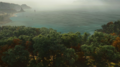 Thumbnail for version as of 02:42, 15 June 2026