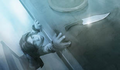 Thumbnail for version as of 00:19, 23 January 2026