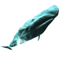 Thumbnail for version as of 00:04, 23 January 2026