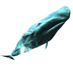 AC4DB - White Whale.png