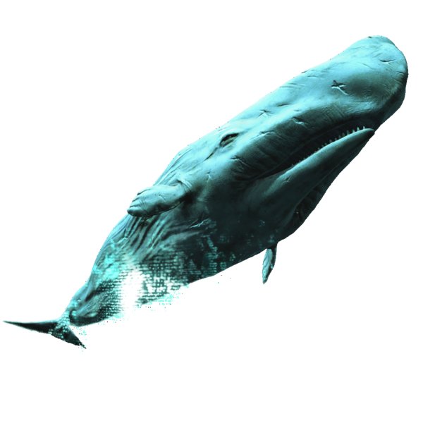 File:AC4DB - White Whale.png