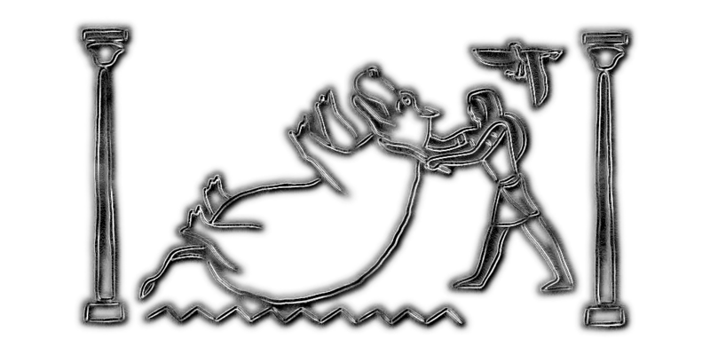 File:ACO Desert Vision 13.png