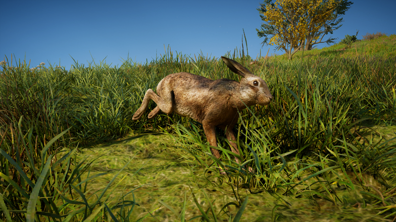 File:ACV Hare.png