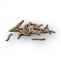 Thumbnail for version as of 11:06, 13 September 2026