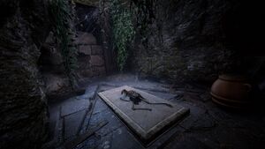 Magister Vitus Tomb inside.jpeg