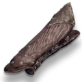 Thumbnail for version as of 00:14, 23 January 2026
