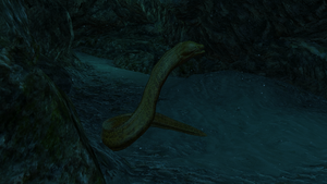AC4 Moray Eel.png