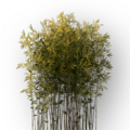 Thumbnail for version as of 16:55, 24 June 2026