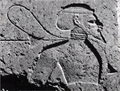 Thumbnail for version as of 00:08, 23 January 2026