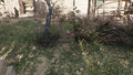 Thumbnail for version as of 00:14, 23 January 2026