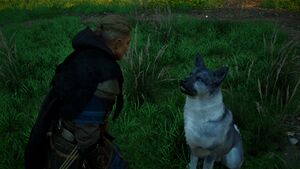 ACV Nostalgia 3.jpg