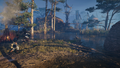Thumbnail for version as of 00:22, 23 January 2026