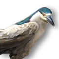 Thumbnail for version as of 16:30, 17 October 2026