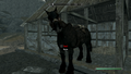 Thumbnail for version as of 00:17, 23 January 2026