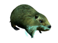 Thumbnail for version as of 00:08, 23 January 2026