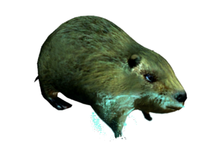 AC4DB - Hutia.png