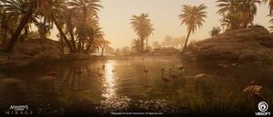 ACMir Palm Grove 1.jpg