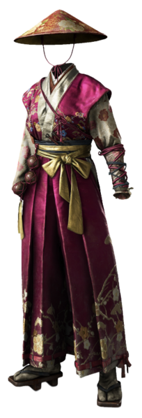 File:ACSH DB Servant Outfit.png