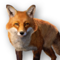 Thumbnail for version as of 16:28, 28 June 2026