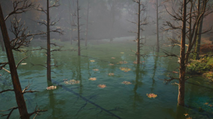 ACSH CoA Hidden Reservoir 1.png
