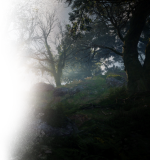 ACV DB Wistmans Wood.PNG