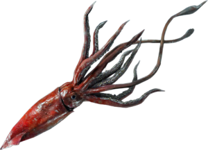 ACBFR DB Giant Squid.png