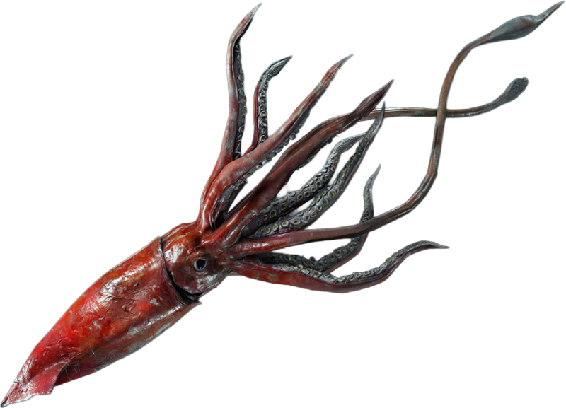 File:ACBFR DB Giant Squid.png
