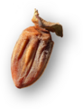 Thumbnail for version as of 12:02, 24 May 2026