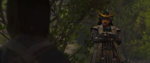 ACSH Wolves and Foxes 5.jpg