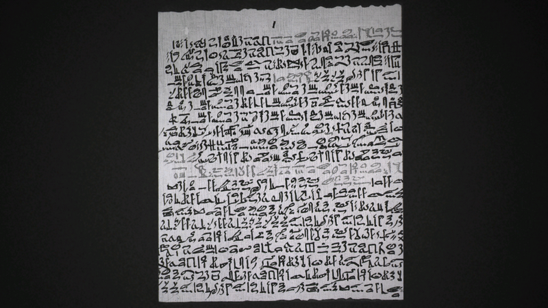 File:DTAE - Ebers Papyrus page.png
