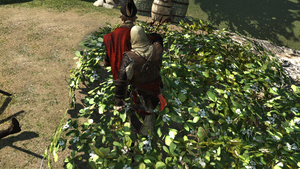 The Guard Post 3.png