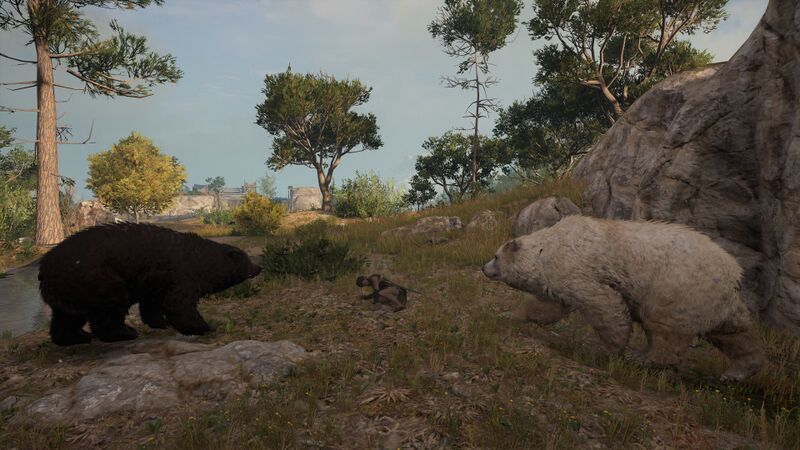 File:ACOd-Galeosbears.jpg