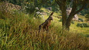 ACV Hare (alert).png