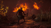 Soma in danger