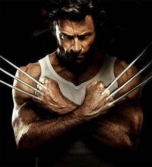 Wolverine.jpg
