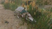 Petsuchos in the Temple of Sobek