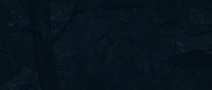 ACMir The Calling 1.jpg