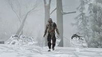 Wolf Pack as seen in-game