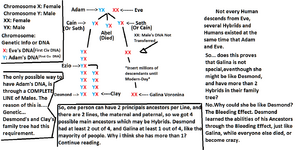 Explanation About Genetics And Theory2.png