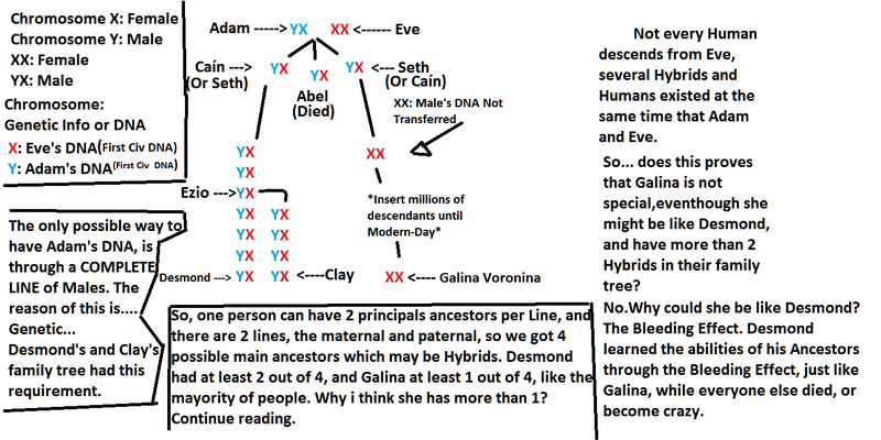File:Explanation About Genetics And Theory2.png