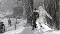 Thumbnail for version as of 00:31, 23 January 2026