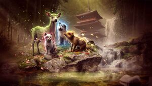 ACSH Four Seasons Pet Pack Promo Image.jpg