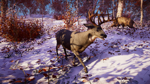 ACV Deer.png